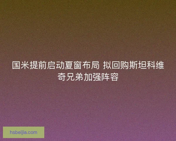 国米提前启动夏窗布局 拟回购斯坦科维奇兄弟加强阵容